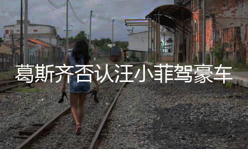 葛斯齐否认汪小菲驾豪车赴S家哀悼，真相背后的复杂情感纠葛