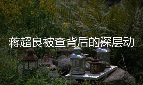蒋超良被查背后的深层动因，湖北省委态度明朗