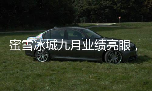 蜜雪冰城九月业绩亮眼，盈利达35亿——行业巨头持续领跑市场