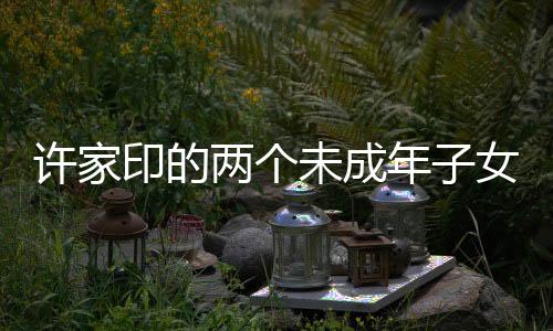 许家印的两个未成年子女，家庭背景与成长焦点