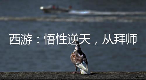 西游：悟性逆天，从拜师八戒开始