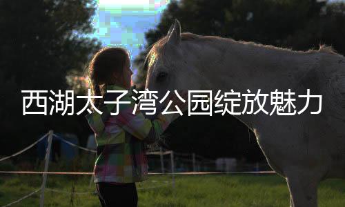 西湖太子湾公园绽放魅力，亿万瞩目之下，游览人潮涌至二亿人次大关