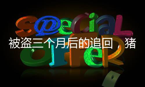 被盗三个月后的追回，猪的体重飙升了百斤
