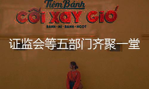 证监会等五部门齐聚一堂，共议经济发展大计——经济主题记者会侧记