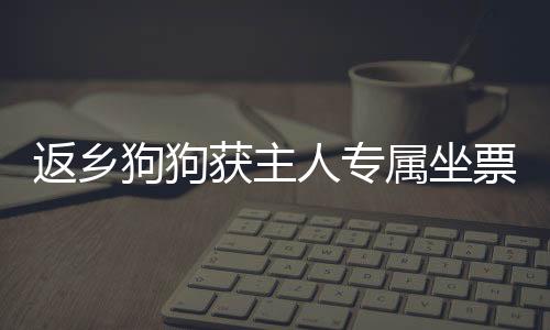 返乡狗狗获主人专属坐票，温馨故事感动人心
