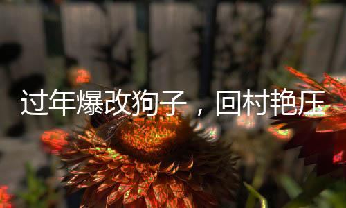 过年爆改狗子，回村艳压群芳