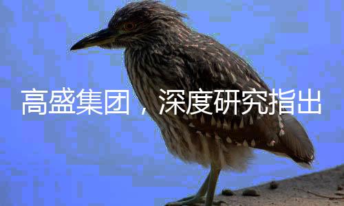 高盛集团，深度研究指出DeepSeek项目被高估了