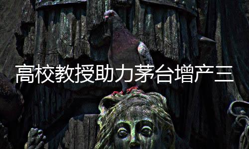 高校教授助力茅台增产三到五成，科技创新引领白酒产业新篇章
