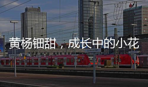 黄杨钿甜，成长中的小花未来可期