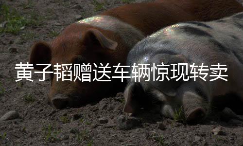 黄子韬赠送车辆惊现转卖风波，娱乐巨头备受关注事件背后疑云重重
