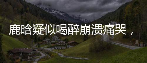 鹿晗疑似喝醉崩溃痛哭，深夜发文引人关注