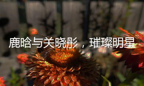 鹿晗与关晓彤，璀璨明星的浪漫碰撞——一二三四五六七八九十揭秘