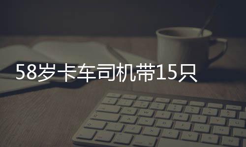 58岁卡车司机带15只流浪猫回家过年
