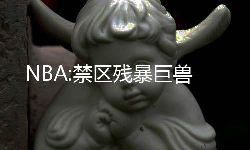NBA:禁区残暴巨兽