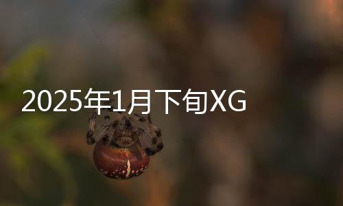 2025年1月下旬XGP新增游戏公布 包含多款首日游戏